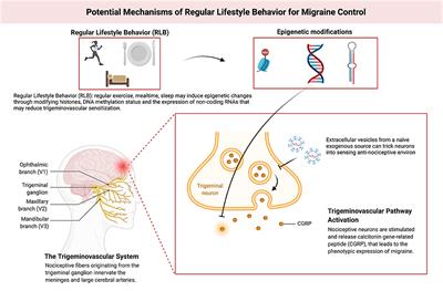 Editorial: Lifestyle modifications to manage migraine